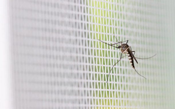 Alumínium rolós szúnyoghálóval hatékony védekezhet a rovarok ellen!